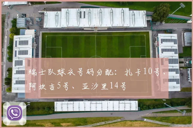 瑞士队球衣号码分配：扎卡10号、阿坎吉5号、亚沙里14号